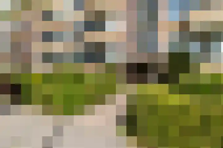 Mgr P.J. Willekenslaan 133 Rijswijk thumbnail 32