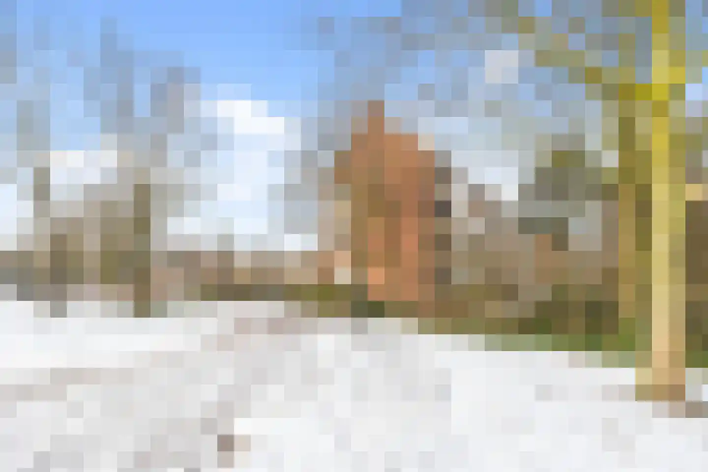 Mgr P.J. Willekenslaan 135 Rijswijk thumbnail 37