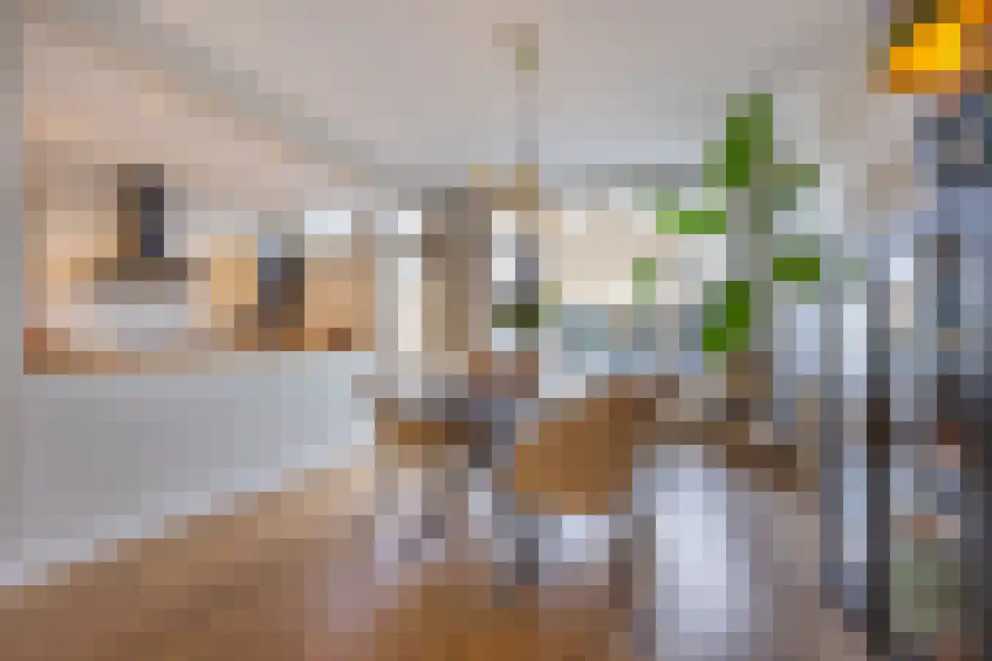 Mgr P.J. Willekenslaan 15 a Rijswijk thumbnail 8