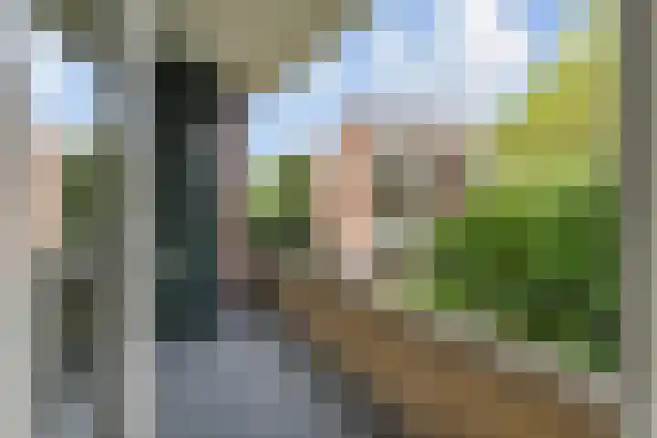 Mgr P.J. Willekenslaan 99 Rijswijk thumbnail 15