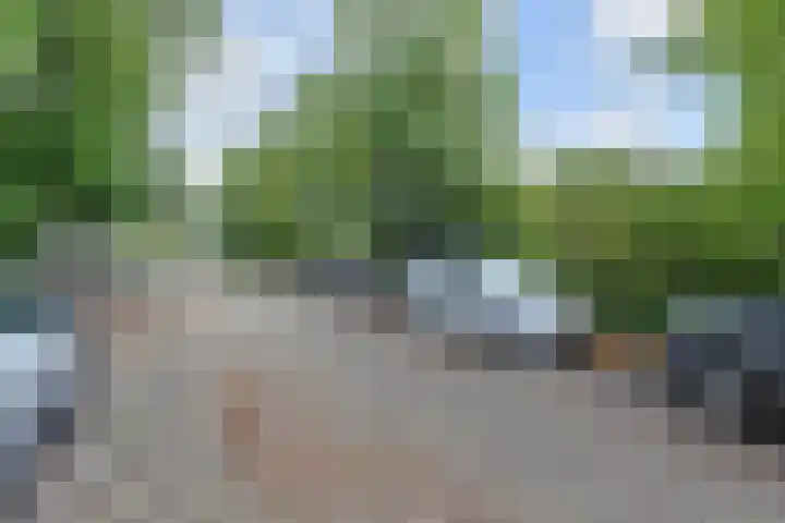 Mgr P.J. Willekenslaan 99 Rijswijk thumbnail 33