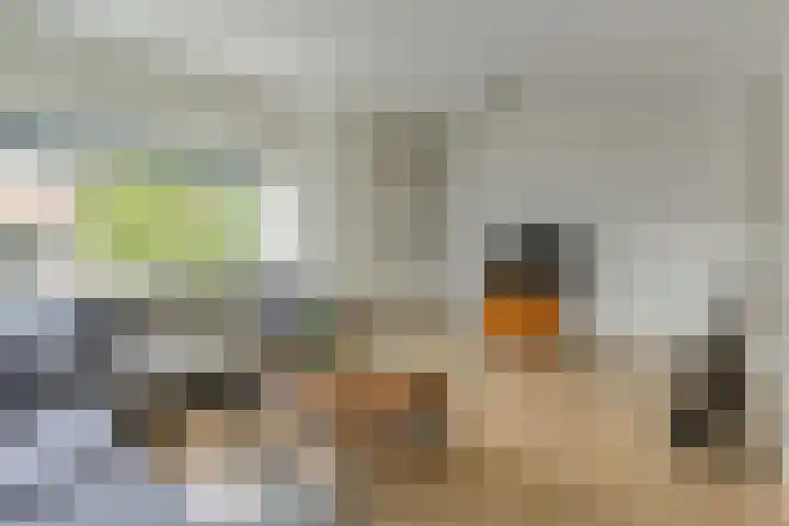 Mgr P.J. Willekenslaan 99 Rijswijk thumbnail 8