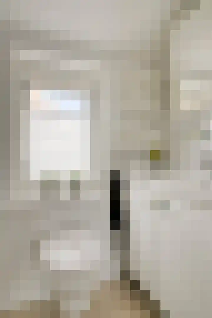 Mgr. Poelsstraat 22 Valkenswaard thumbnail 18