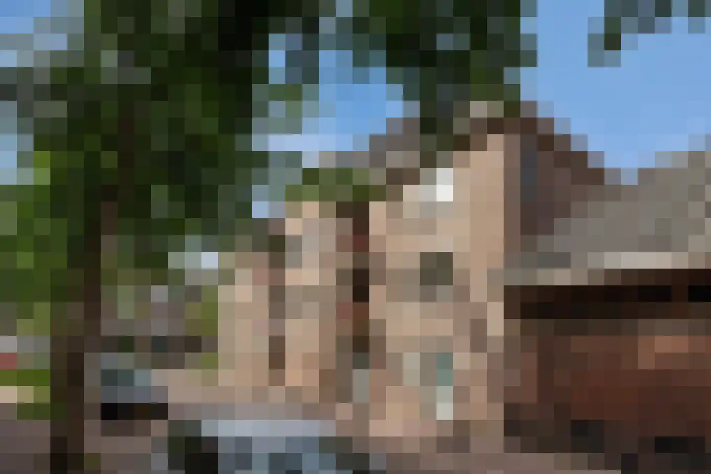 Mgr. Prinsenstraat 29 's-Hertogenbosch thumbnail 10