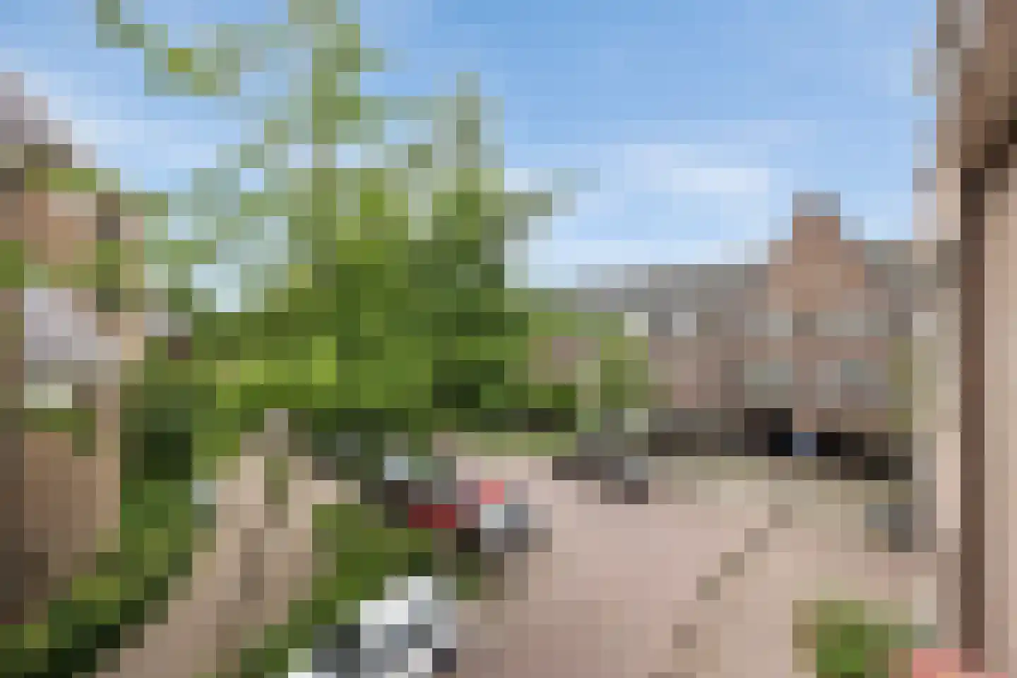 Mgr. Prinsenstraat 29 's-Hertogenbosch thumbnail 34