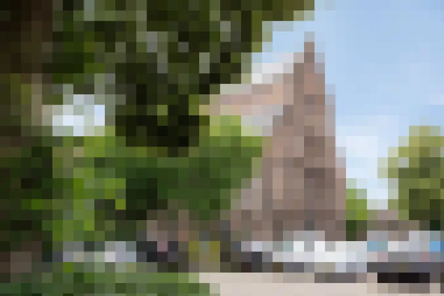 Mgr. Prinsenstraat 29 's-Hertogenbosch thumbnail 53