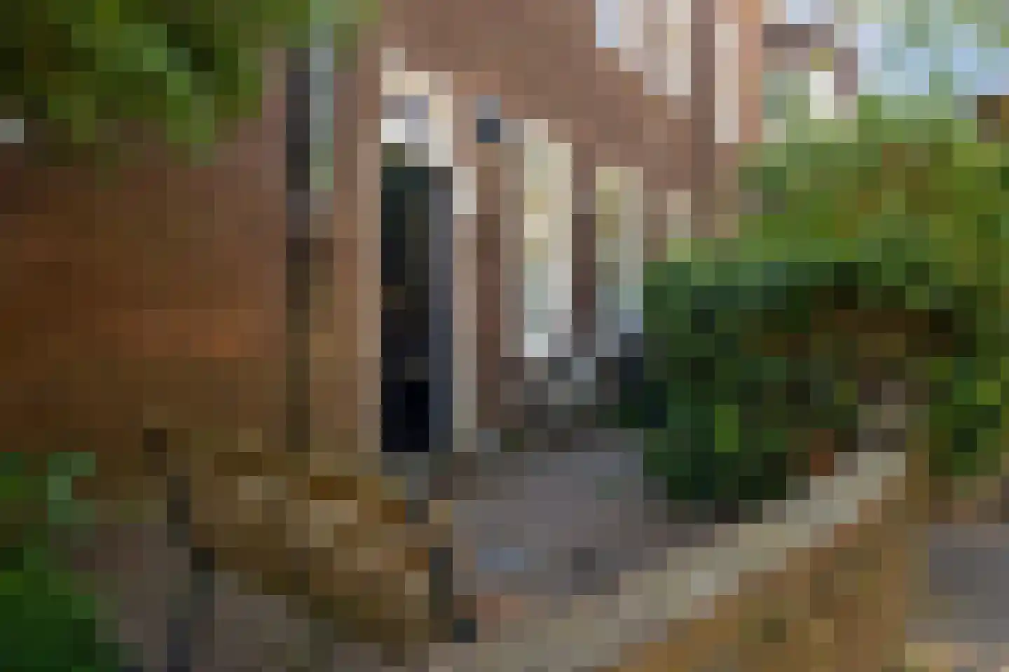 Mgr. Prinsenstraat 59 A 's-Hertogenbosch thumbnail 35