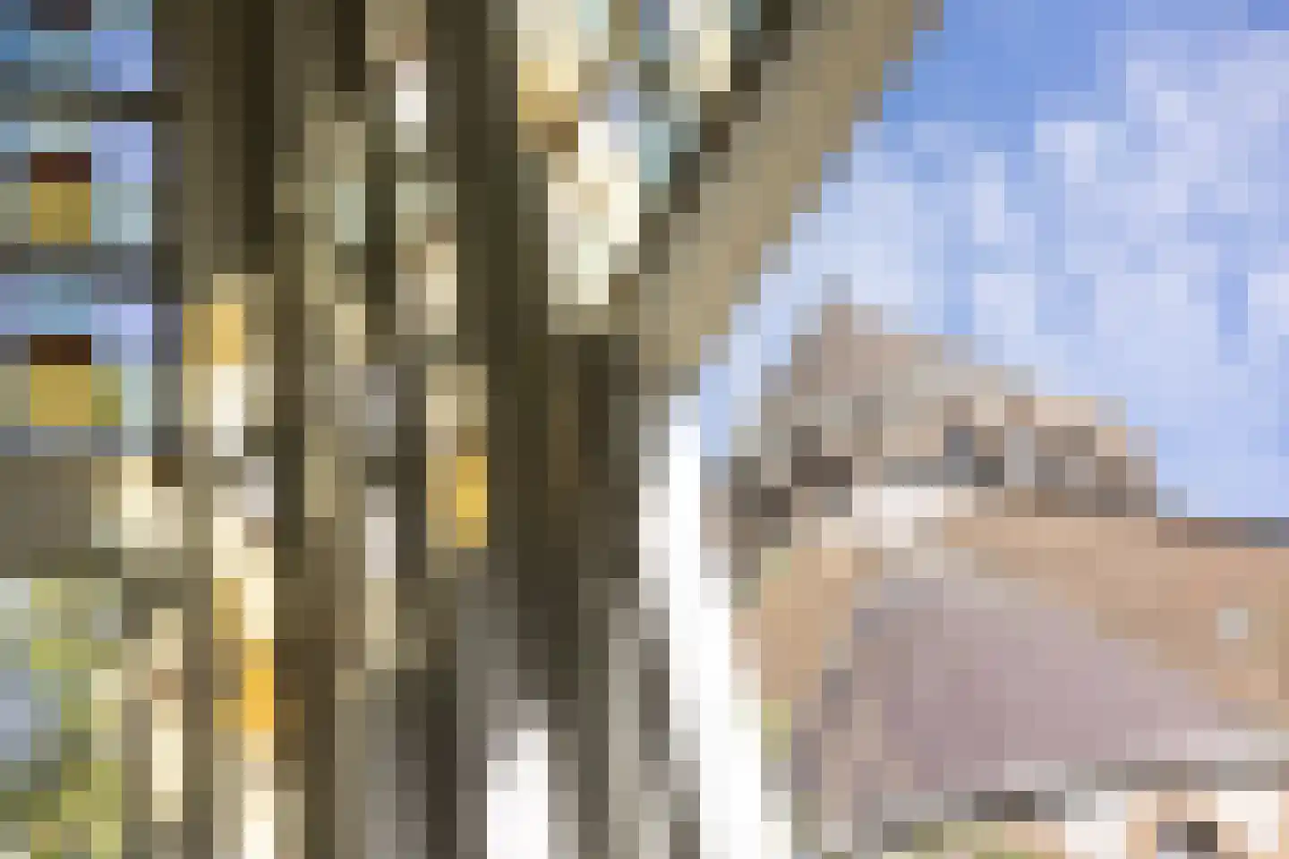 Mgr. Prinsenstraat 59 A 's-Hertogenbosch thumbnail 5