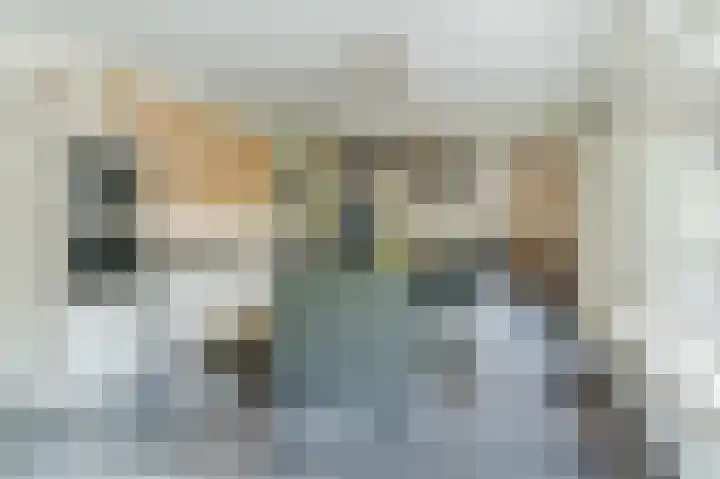 Mgr. Schaepmanlaan 9 Dongen thumbnail 20