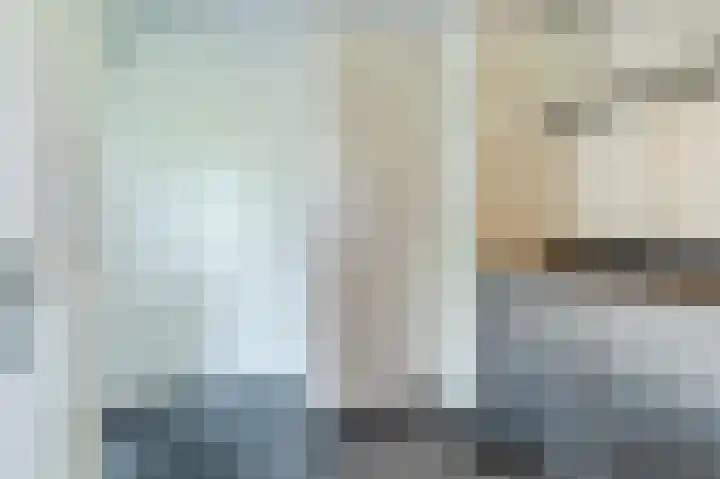 Mgr. Schaepmanlaan 9 Dongen thumbnail 23