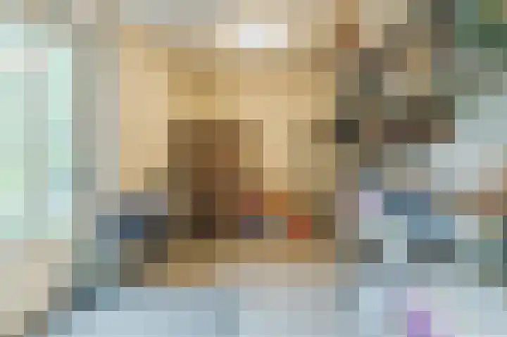 Mgr. Schaepmanlaan 9 Dongen thumbnail 24