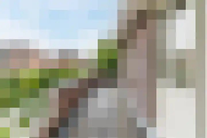 Mgr. Schaepmanlaan 9 Dongen thumbnail 27