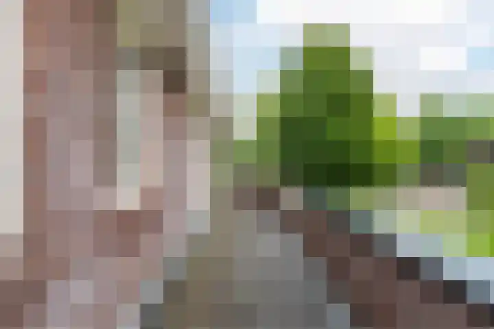 Mgr. Schaepmanlaan 9 Dongen thumbnail 28