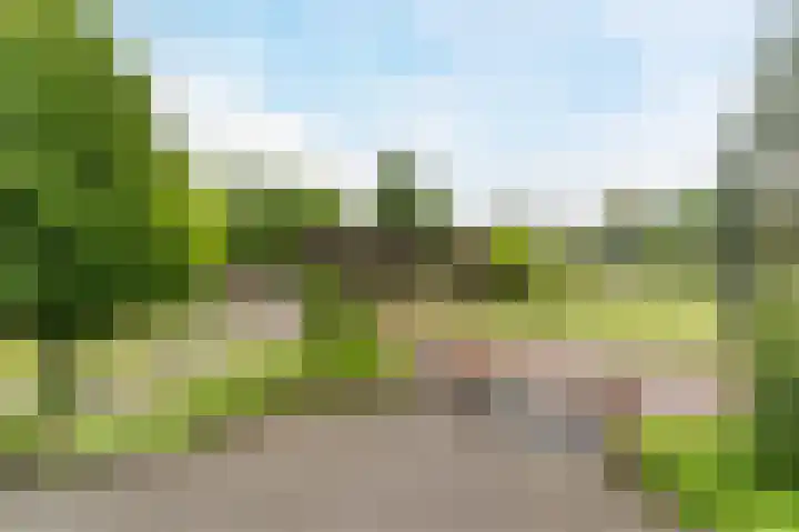Mgr. Schaepmanlaan 9 Dongen thumbnail 29