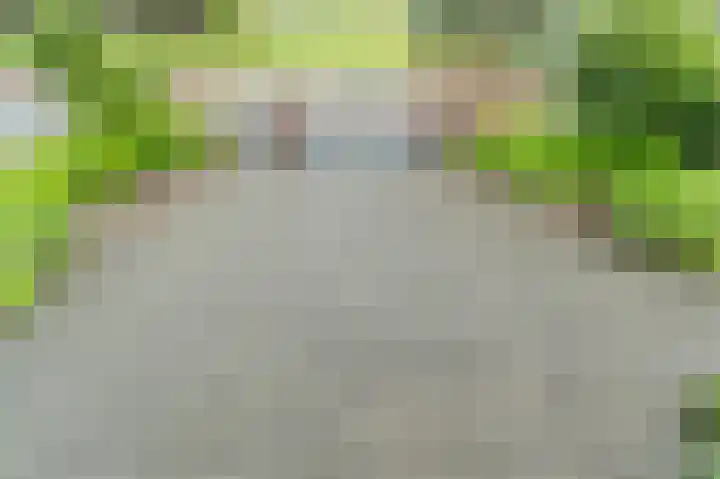 Mgr. Schaepmanlaan 9 Dongen thumbnail 30