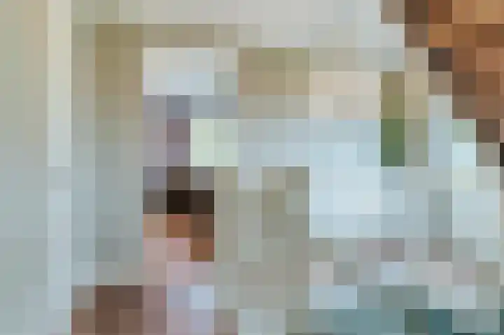 Mgr. Schaepmanlaan 9 Dongen thumbnail 31