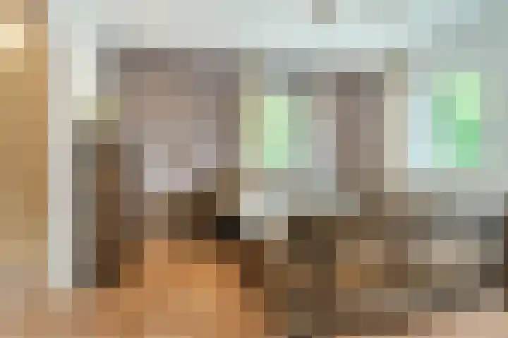Mgr. Schaepmanlaan 9 Dongen thumbnail 32