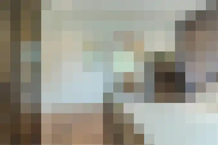Mgr. Schaepmanlaan 9 Dongen thumbnail 34