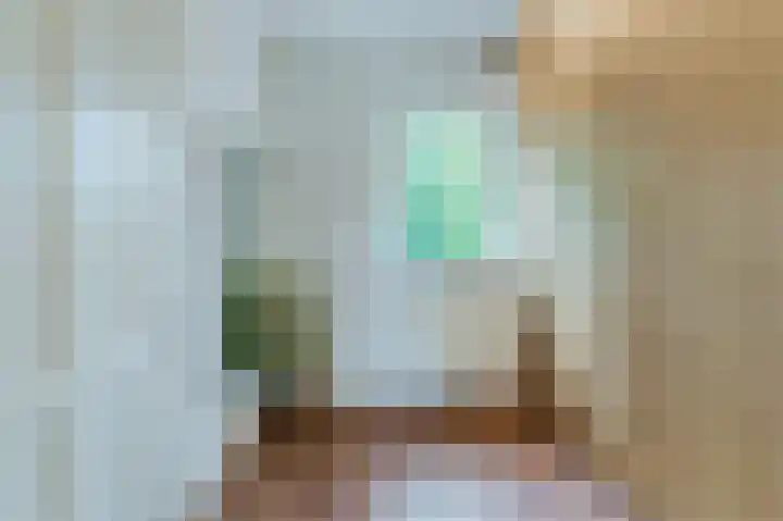 Mgr. Schaepmanlaan 9 Dongen thumbnail 35