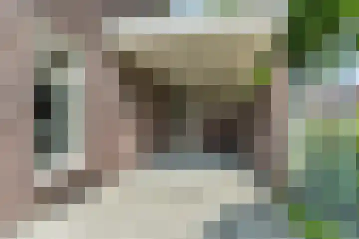 Mgr. Schaepmanlaan 9 Dongen thumbnail 4