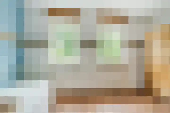 Mgr. Schaepmanlaan 9 Dongen thumbnail 42