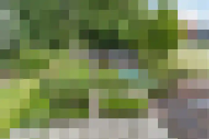 Mgr. Schaepmanlaan 9 Dongen thumbnail 52