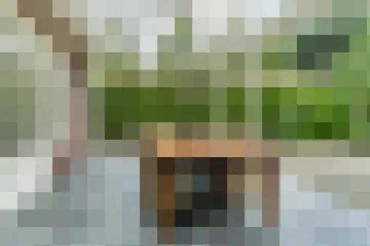 Mgr. Schaepmanlaan 9 Dongen thumbnail 53