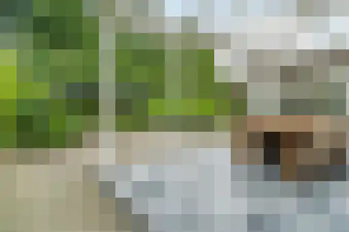 Mgr. Schaepmanlaan 9 Dongen thumbnail 54