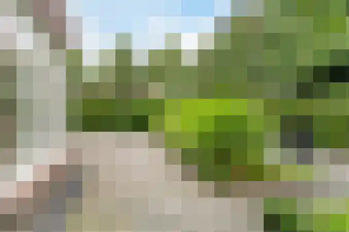 Mgr. Schaepmanlaan 9 Dongen thumbnail 57