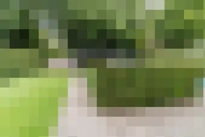 Mgr. Schaepmanlaan 9 Dongen thumbnail 60