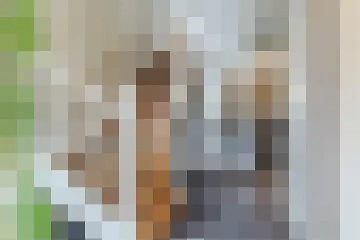 Mgr. Schaepmanlaan 9 Dongen thumbnail 7