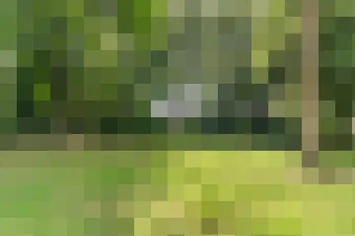 Mgr. Schaepmanlaan 9 Dongen thumbnail 71
