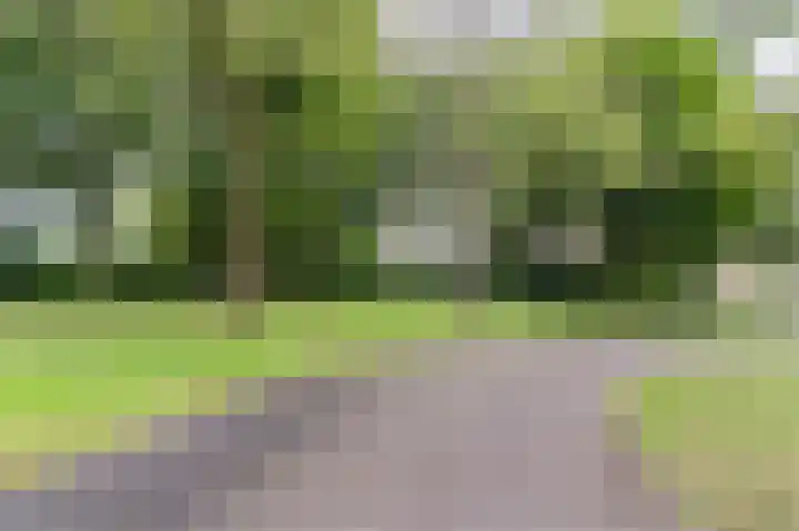 Mgr. Schaepmanlaan 9 Dongen thumbnail 72