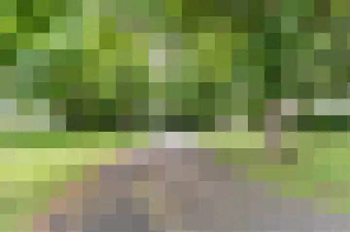 Mgr. Schaepmanlaan 9 Dongen thumbnail 73