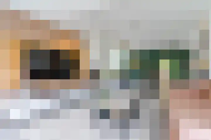 Mgr Schravenlaan 10 Lottum thumbnail 11