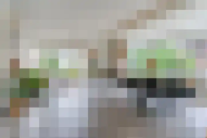 Mgr Schravenlaan 10 Lottum thumbnail 14