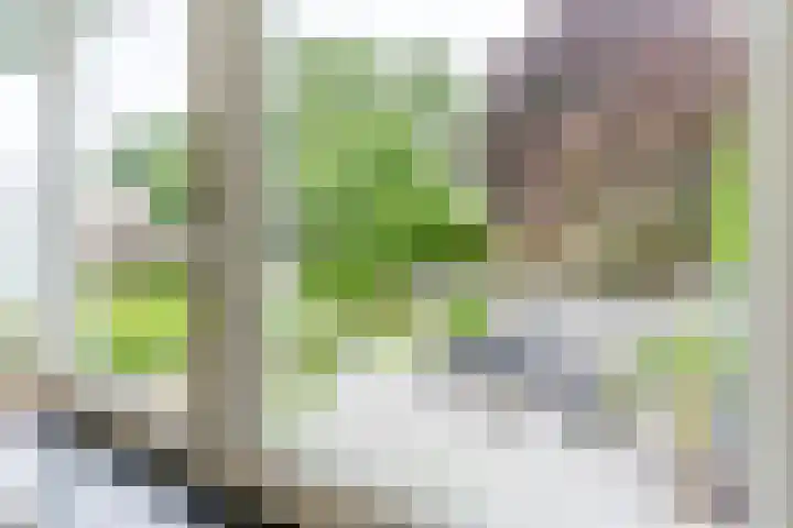 Mgr Schravenlaan 10 Lottum thumbnail 16
