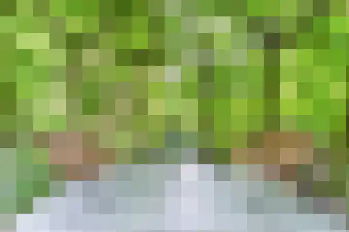 Mgr Schravenlaan 10 Lottum thumbnail 45