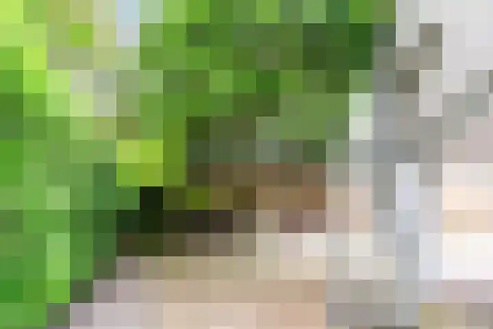 Mgr Schravenlaan 10 Lottum thumbnail 46