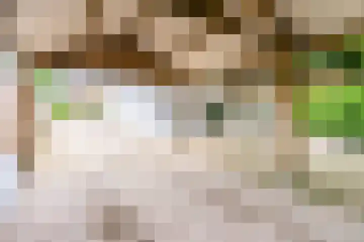 Mgr Schravenlaan 10 Lottum thumbnail 49