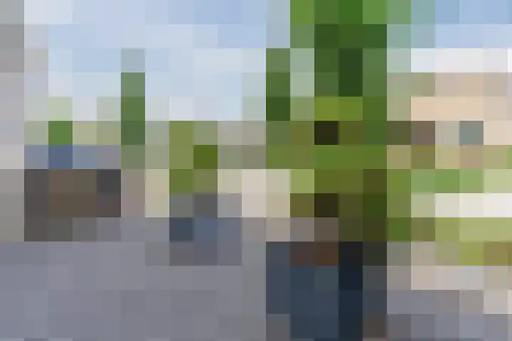 Mgr Schravenlaan 10 Lottum thumbnail 5