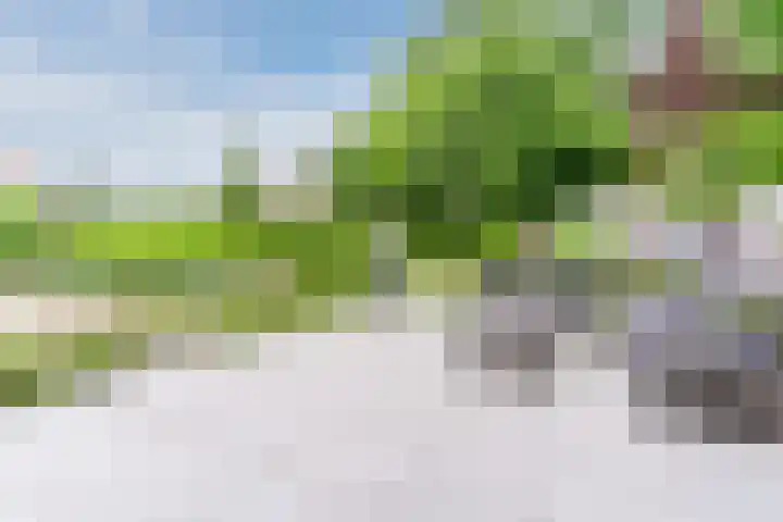 Mgr Schravenlaan 10 Lottum thumbnail 55