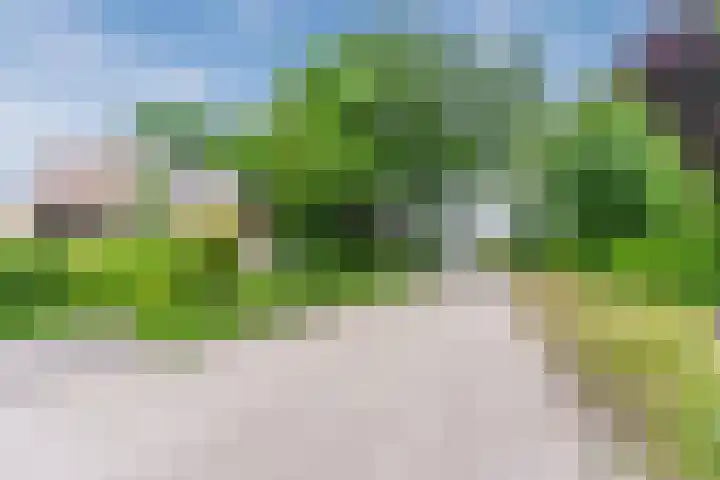 Mgr Schravenlaan 10 Lottum thumbnail 61