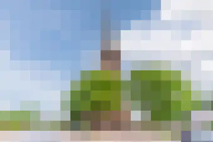 Mgr Schravenlaan 10 Lottum thumbnail 63