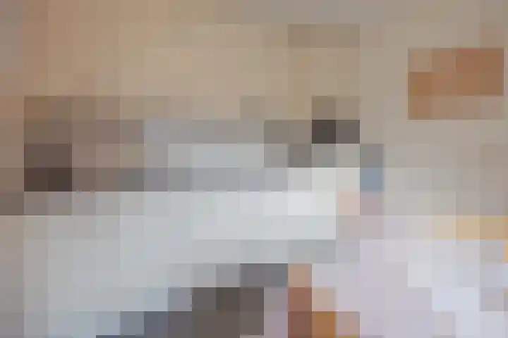 Mgr Schravenlaan 15 a Lottum thumbnail 15