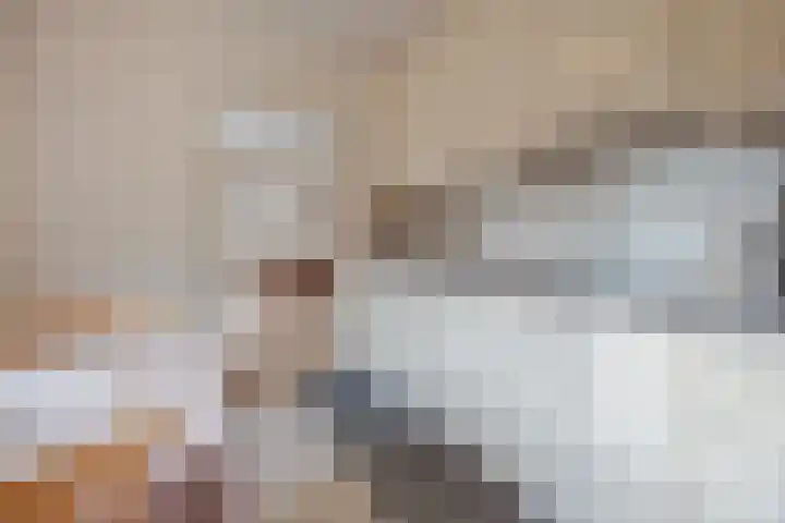 Mgr Schravenlaan 15 a Lottum thumbnail 17