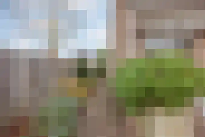 Mgr Schravenlaan 15 a Lottum thumbnail 40