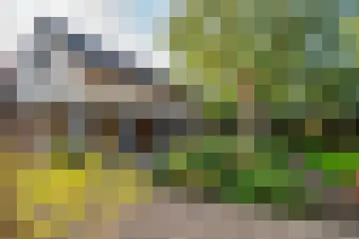 Mgr Schravenlaan 3 Lottum thumbnail 55
