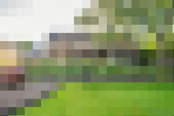 Mgr Schravenlaan 3 Lottum thumbnail 63