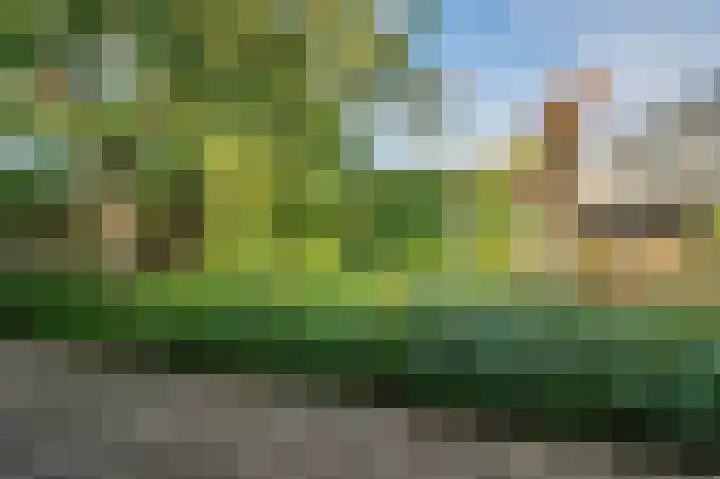Mgr Schravenlaan 3 Lottum thumbnail 68